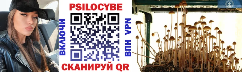 Псилоцибиновые грибы прущие грибы  Купить закладки  Минусинск 